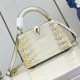 LOUIS VUITTON 루이비통 카푸신 미니 M48865 
